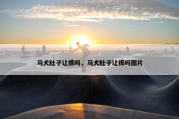 马犬肚子让摸吗，马犬肚子让摸吗图片