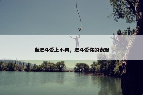 当法斗爱上小狗，法斗爱你的表现