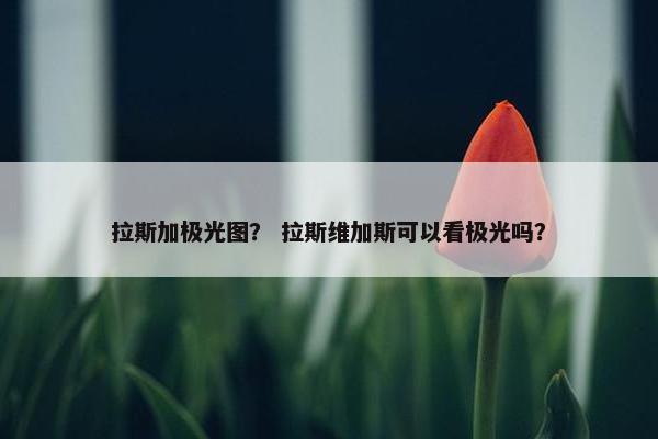 拉斯加极光图？ 拉斯维加斯可以看极光吗？