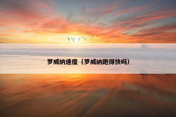 罗威纳速度（罗威纳跑得快吗）
