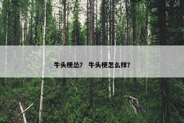 牛头梗怂？ 牛头梗怎么样？