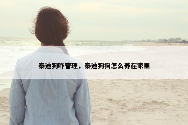 泰迪狗咋管理，泰迪狗狗怎么养在家里
