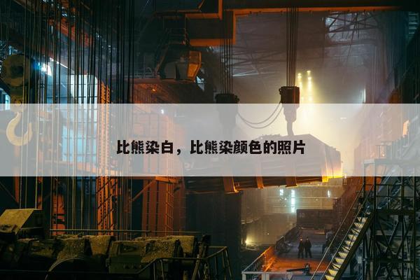 比熊染白，比熊染颜色的照片
