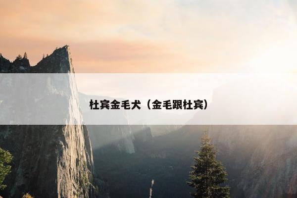 杜宾金毛犬（金毛跟杜宾）