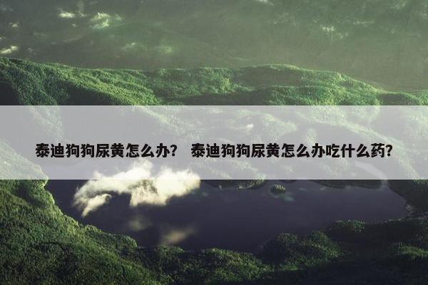 泰迪狗狗尿黄怎么办？ 泰迪狗狗尿黄怎么办吃什么药？