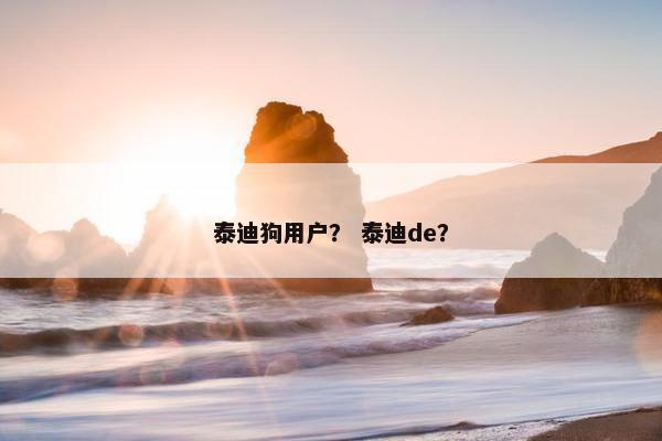 泰迪狗用户？ 泰迪de？