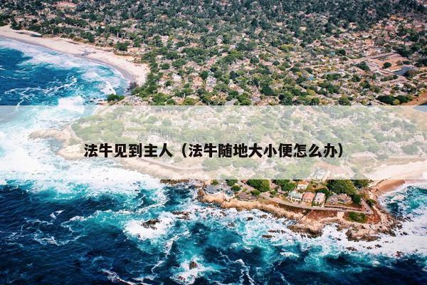法牛见到主人（法牛随地大小便怎么办）