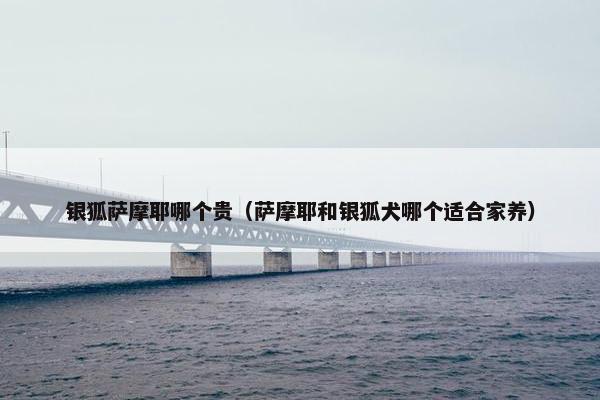 银狐萨摩耶哪个贵（萨摩耶和银狐犬哪个适合家养）