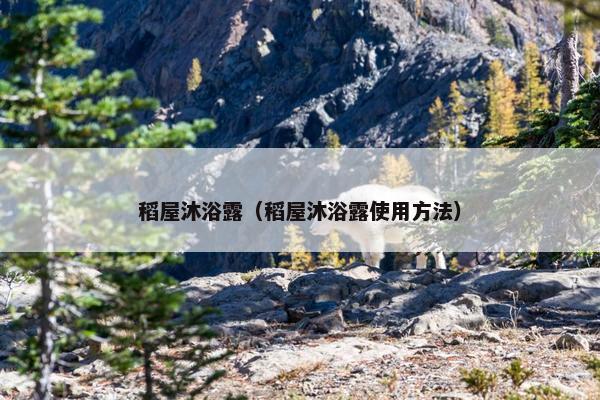 稻屋沐浴露（稻屋沐浴露使用方法）