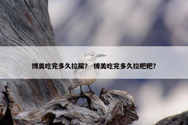 博美吃完多久拉屎？ 博美吃完多久拉粑粑？