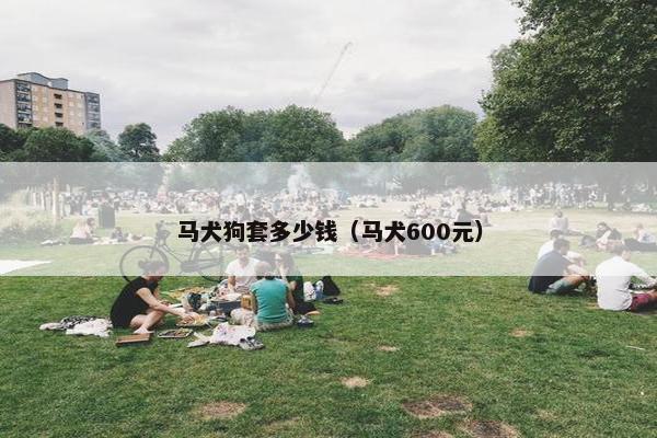 马犬狗套多少钱（马犬600元）