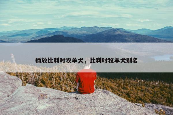 播放比利时牧羊犬，比利时牧羊犬别名