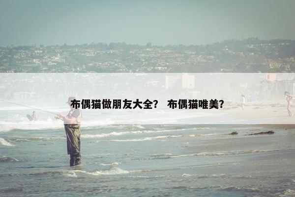 布偶猫做朋友大全？ 布偶猫唯美？