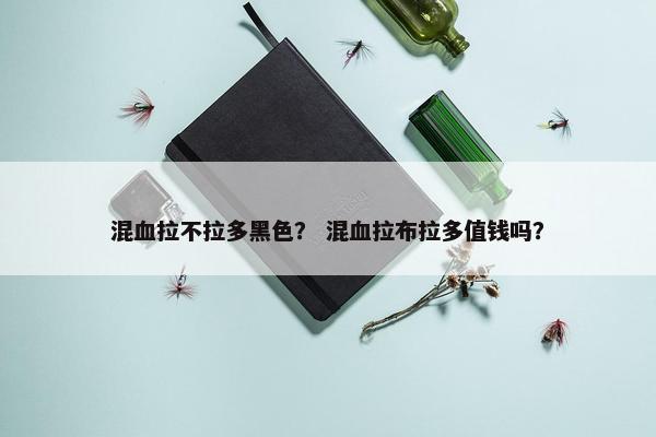 混血拉不拉多黑色？ 混血拉布拉多值钱吗？