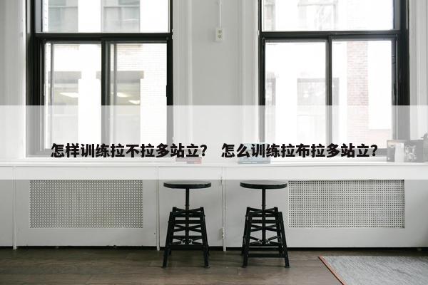 怎样训练拉不拉多站立？ 怎么训练拉布拉多站立？