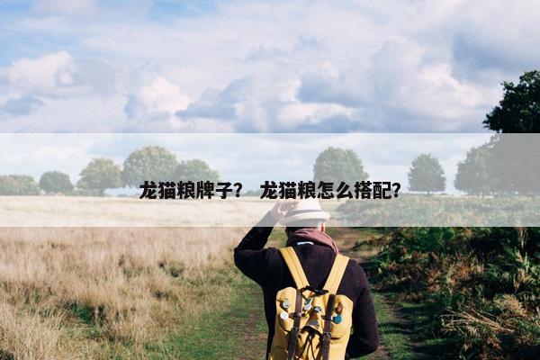 龙猫粮牌子？ 龙猫粮怎么搭配？