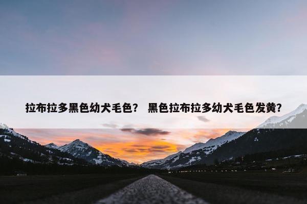拉布拉多黑色幼犬毛色？ 黑色拉布拉多幼犬毛色发黄？