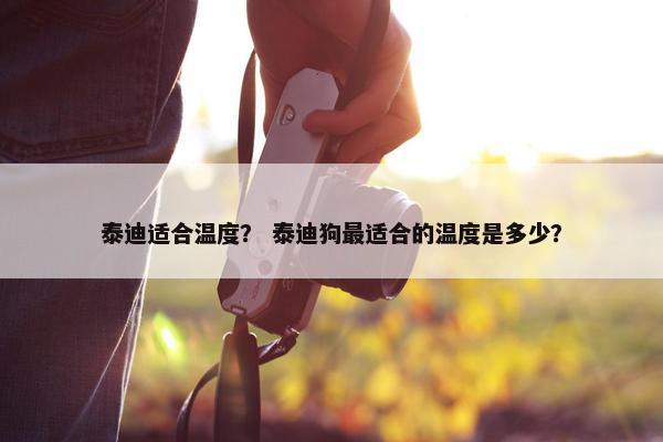 泰迪适合温度？ 泰迪狗最适合的温度是多少？
