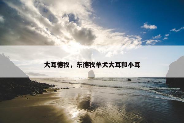 大耳德牧，东德牧羊犬大耳和小耳