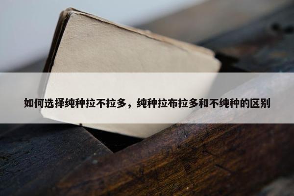 如何选择纯种拉不拉多，纯种拉布拉多和不纯种的区别
