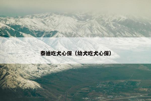 泰迪吃犬心保（幼犬吃犬心保）