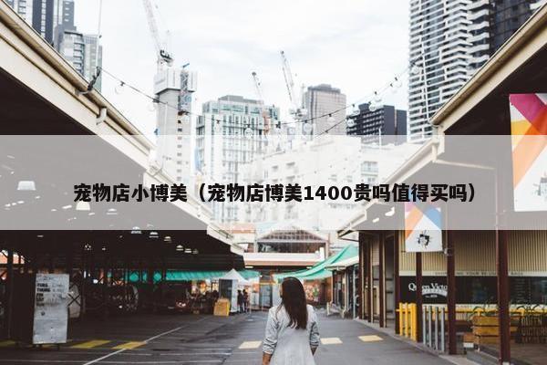 宠物店小博美（宠物店博美1400贵吗值得买吗）