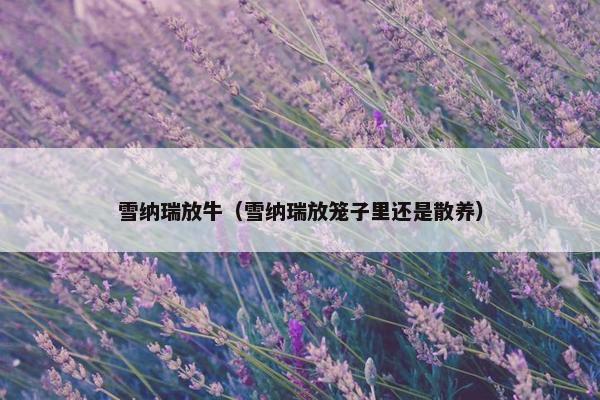 雪纳瑞放牛（雪纳瑞放笼子里还是散养）