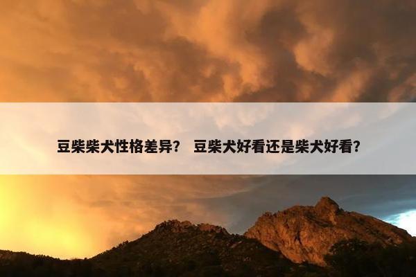 豆柴柴犬性格差异？ 豆柴犬好看还是柴犬好看？