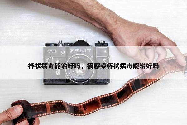 杯状病毒能治好吗，猫感染杯状病毒能治好吗