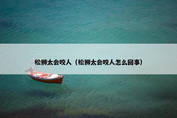 松狮太会咬人（松狮太会咬人怎么回事）