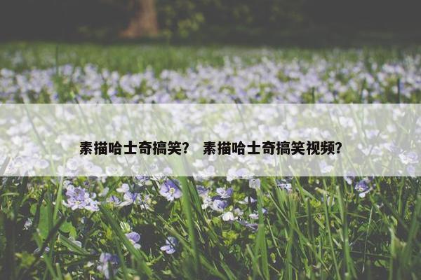 素描哈士奇搞笑？ 素描哈士奇搞笑视频？