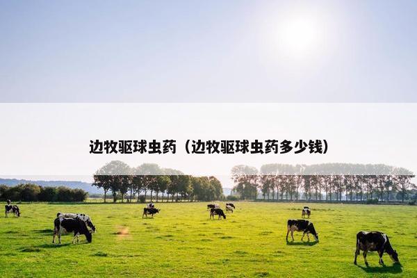 边牧驱球虫药（边牧驱球虫药多少钱）