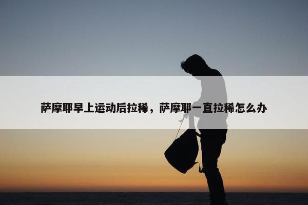 萨摩耶早上运动后拉稀，萨摩耶一直拉稀怎么办