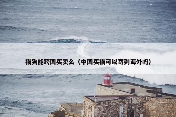 猫狗能跨国买卖么（中国买猫可以寄到海外吗）