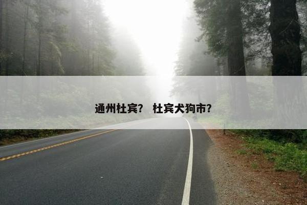 通州杜宾？ 杜宾犬狗市？