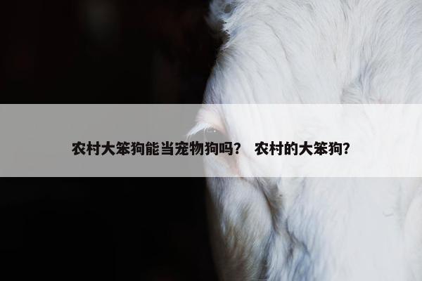 农村大笨狗能当宠物狗吗？ 农村的大笨狗？