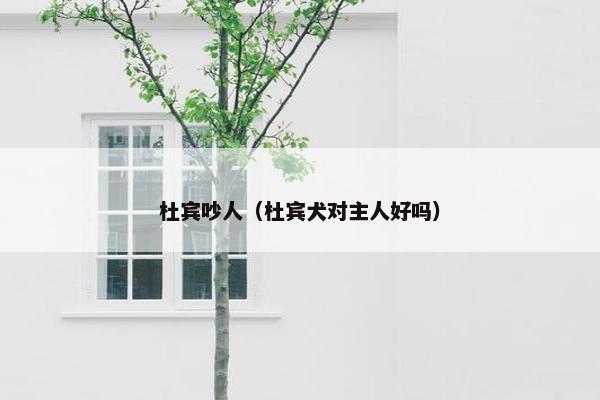 杜宾吵人（杜宾犬对主人好吗）