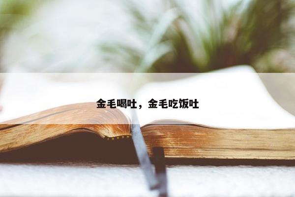 金毛喝吐，金毛吃饭吐