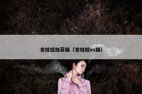 吉娃娃加菲猫（吉娃娃vs猫）