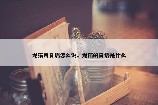 龙猫用日语怎么说，龙猫的日语是什么