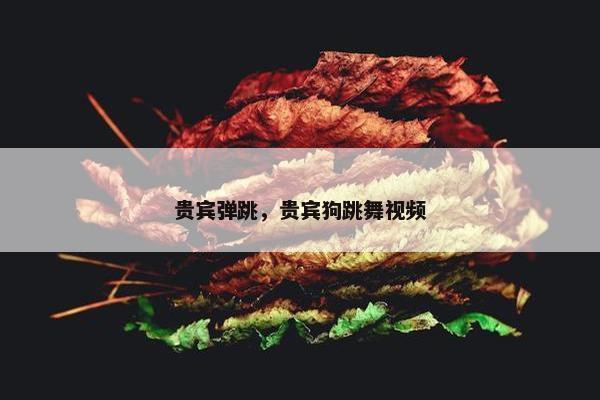 贵宾弹跳，贵宾狗跳舞视频