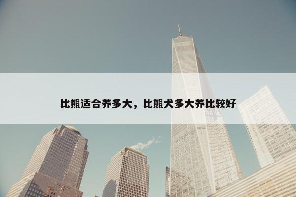 比熊适合养多大，比熊犬多大养比较好