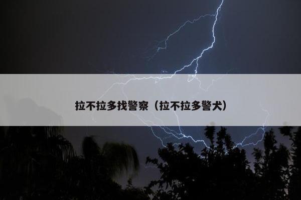 拉不拉多找警察（拉不拉多警犬）