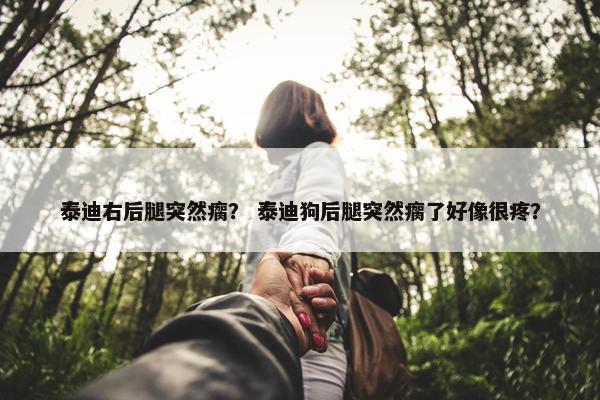 泰迪右后腿突然瘸？ 泰迪狗后腿突然瘸了好像很疼？