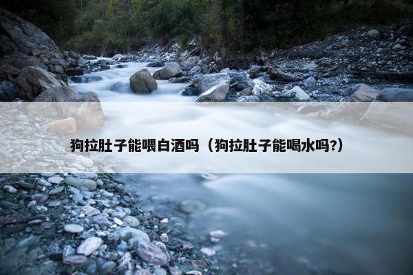 狗拉肚子能喂白酒吗（狗拉肚子能喝水吗?）