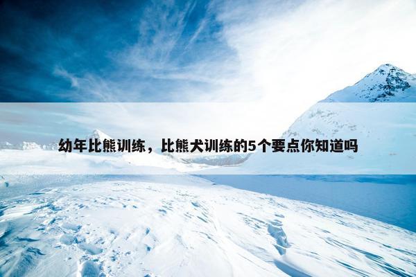 幼年比熊训练，比熊犬训练的5个要点你知道吗