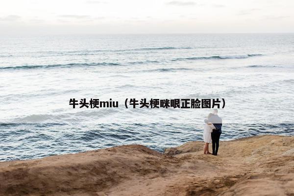 牛头梗miu（牛头梗眯眼正脸图片）