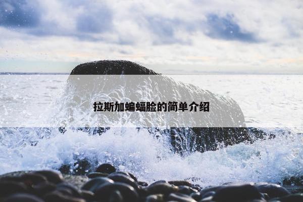 拉斯加蝙蝠脸的简单介绍