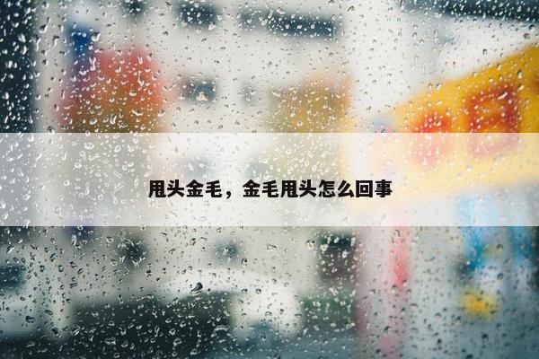 甩头金毛，金毛甩头怎么回事