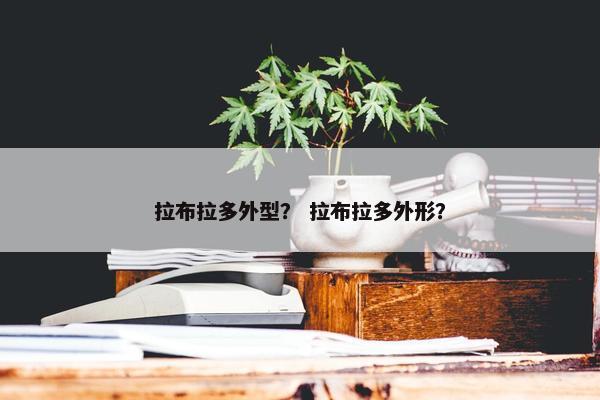 拉布拉多外型？ 拉布拉多外形？